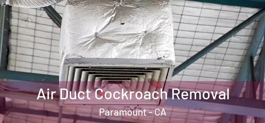 Air Duct Cockroach Removal Paramount - CA