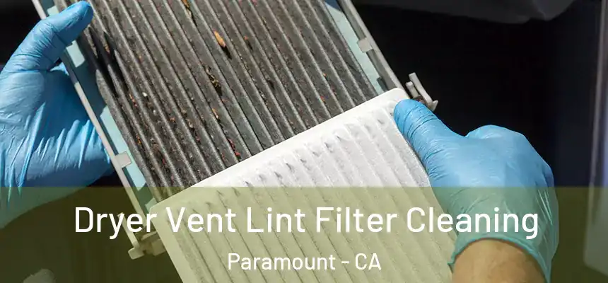 Dryer Vent Lint Filter Cleaning Paramount - CA