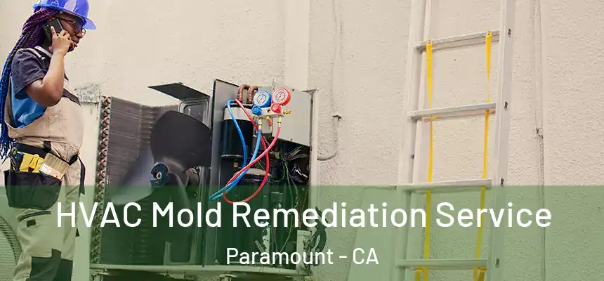 HVAC Mold Remediation Service Paramount - CA