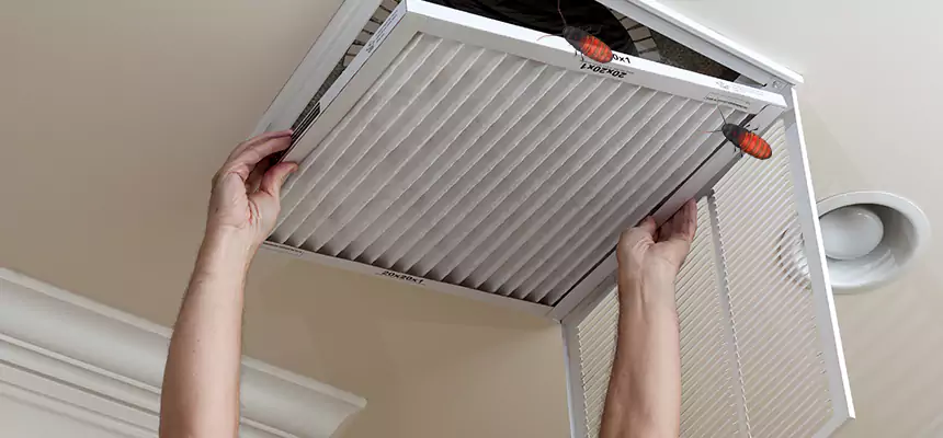 Preventive Cockroach-Proofing for Ducts in Paramount