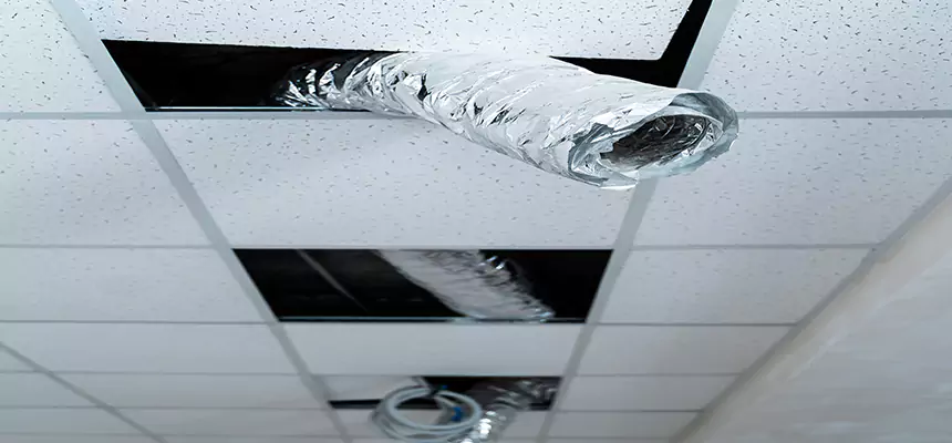 Our Air Duct Pet Hair Removal Services in Paramount, CA