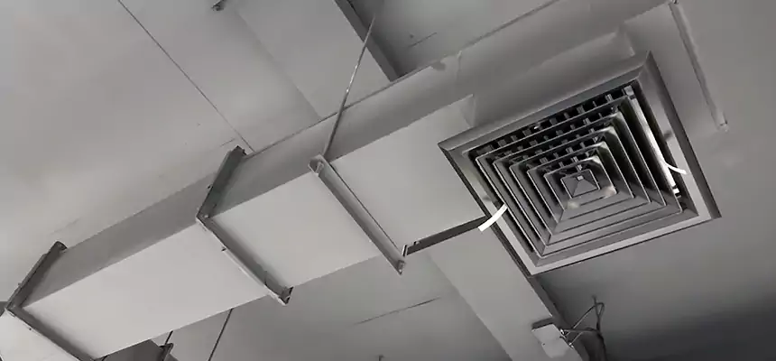 Our Rodent Droppings In Vents Services in Paramount, CA