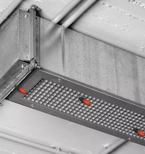 About Air Duct Cockroach Removal in Paramount, CA