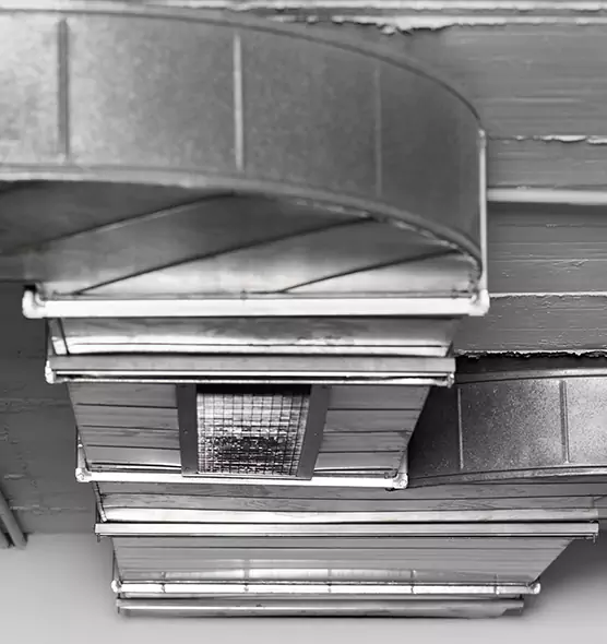 Professional Air Duct Pet Hair Removal in Paramount, CA