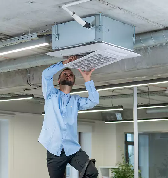 Advanced Rodent Droppings In Vents in Paramount, CA