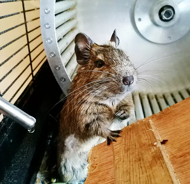 Why Homeowners & Businesses Trust Us Paramount, CA