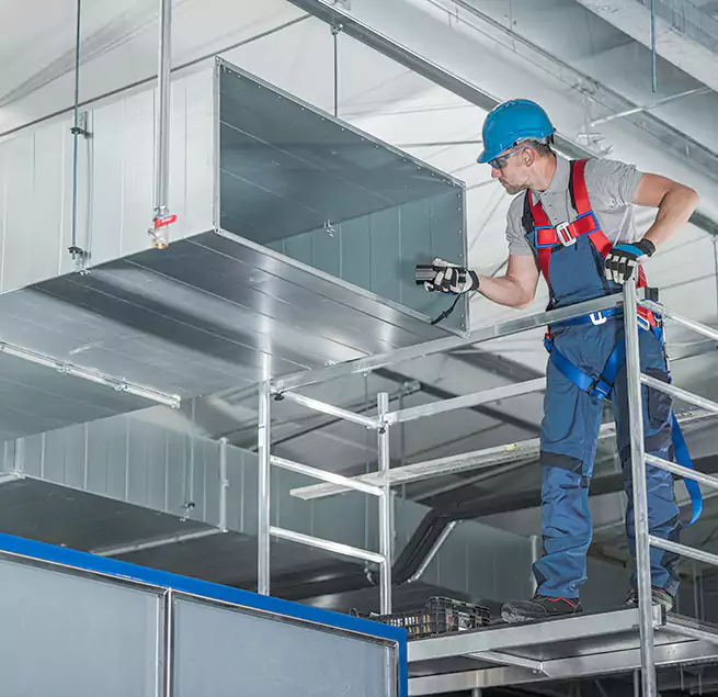 Why Homeowners & Businesses Trust Us in Paramount, CA?