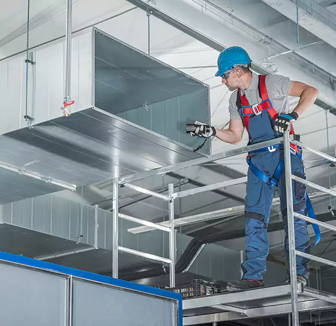 Why Homeowners Businesses Trust Us in Paramount, CA