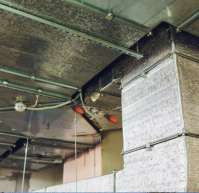 Why Homeowners & Businesses Trust Us Paramount, CA?