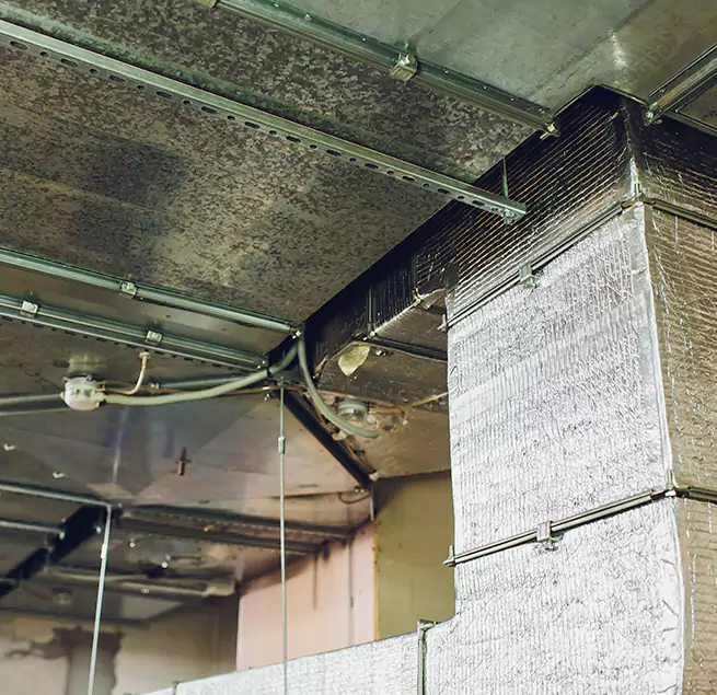 Why Homeowners & Businesses Trust Us in Paramount, CA?