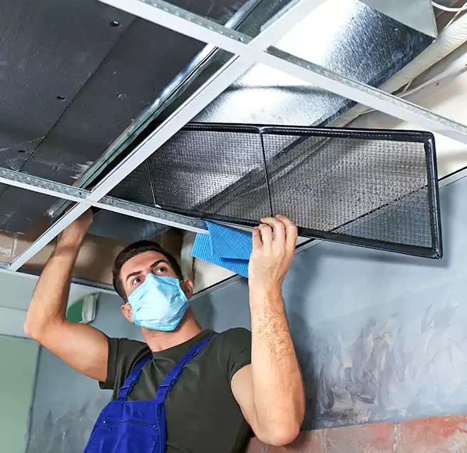 Why Homeowners Businesses Trust Us in Paramount, CA